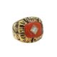 1981 Clemson Football National Championship ring